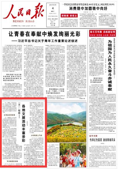 红树林逃生